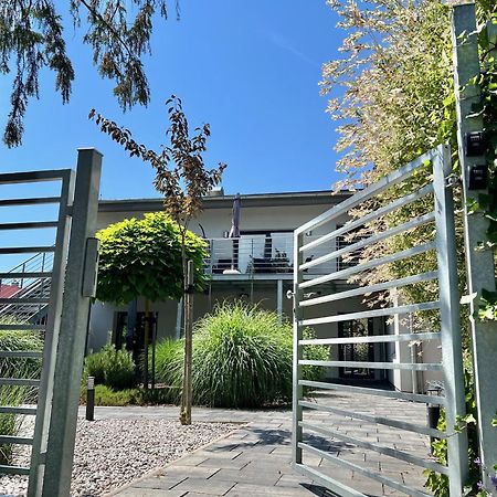 Apartmany Benesov Benesov nad Ploucnici Екстер'єр фото