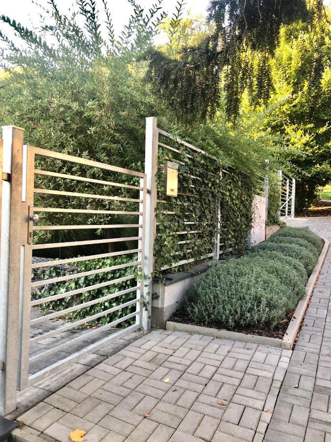 Apartmany Benesov Benesov nad Ploucnici Екстер'єр фото