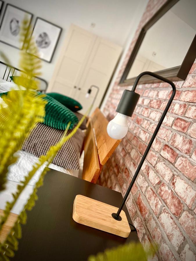 Apartmany Benesov Benesov nad Ploucnici Екстер'єр фото