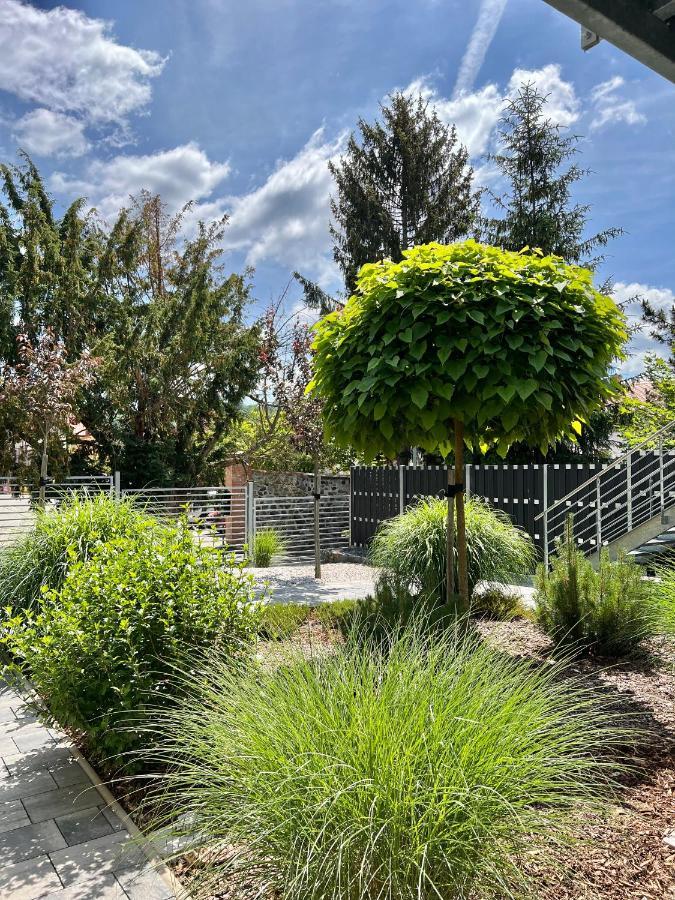 Apartmany Benesov Benesov nad Ploucnici Екстер'єр фото