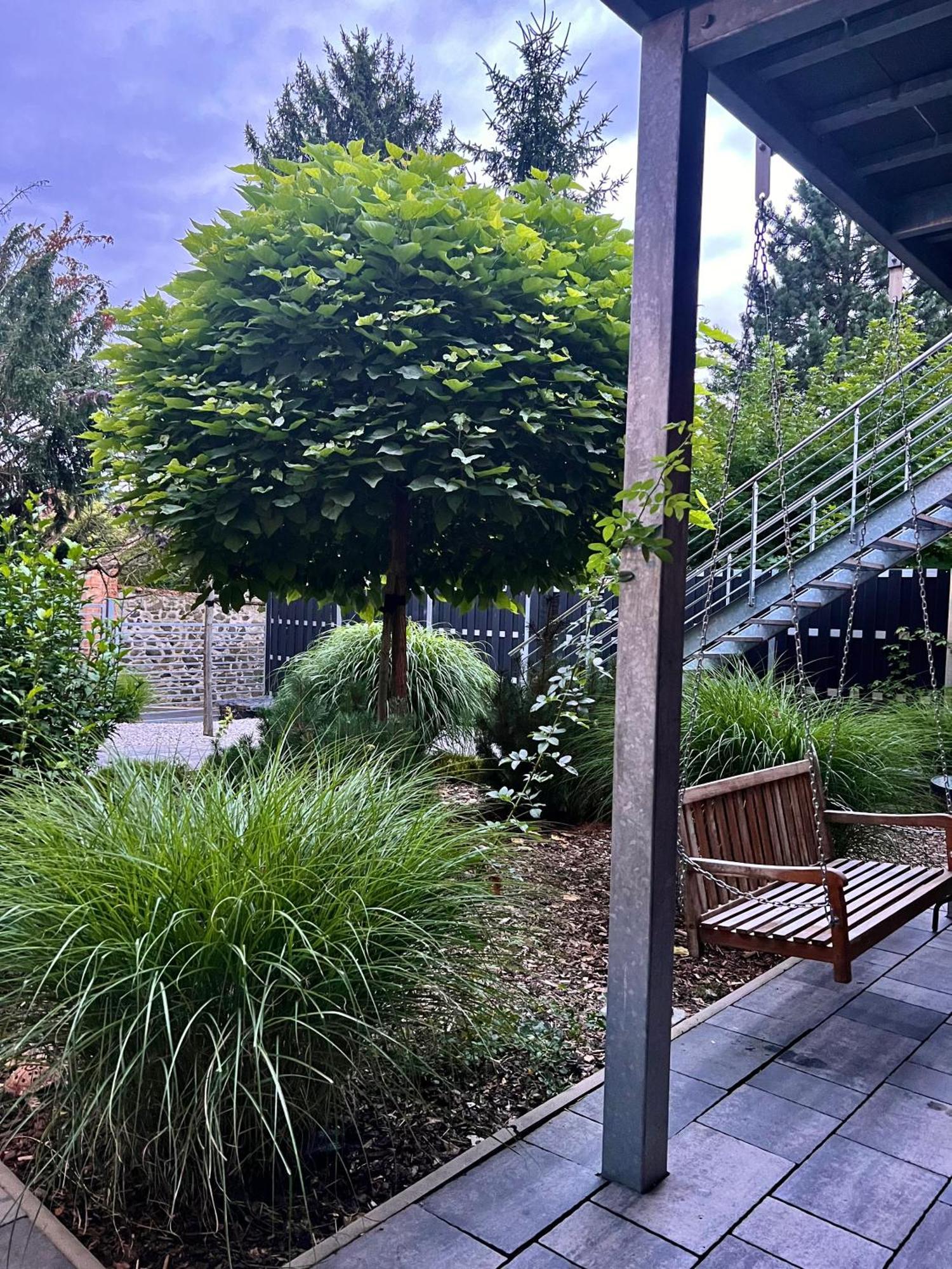 Apartmany Benesov Benesov nad Ploucnici Екстер'єр фото