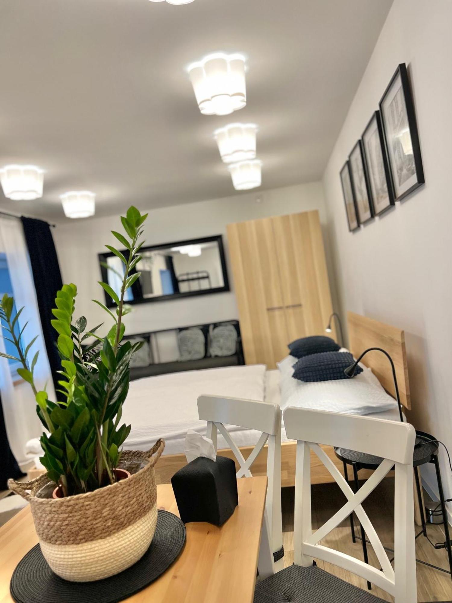 Apartmany Benesov Benesov nad Ploucnici Екстер'єр фото